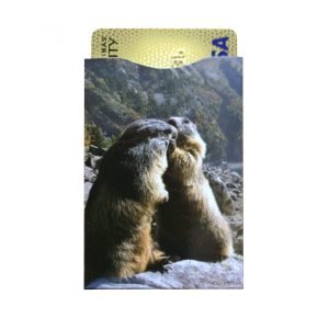 Protège-CB Montagne Marmote