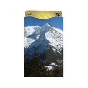 Protège-CB Montagne Enneigée