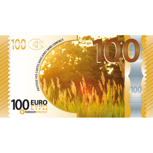 Billet Barrière RFID Kokoon Banknote Visuel Tournesol
