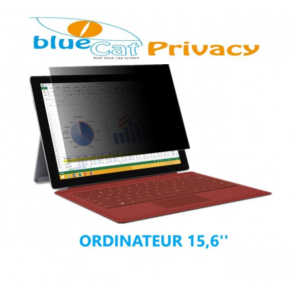 Filtre de confidentialité anti lumière bleue pour ordinateur 15.6"