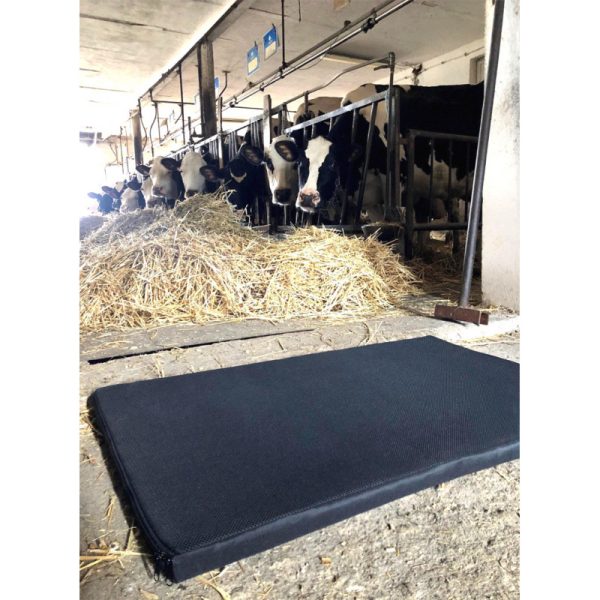 Tapis de désinfection SANIMAT 60x50x3cm