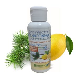 KIT COMPOSE D'UN PURIFICATEUR D'AIR PORTABLE ALIZE POUR VOITURE ET UN DESINFECTANT DYNAMISANT CONCENTRE 125ML