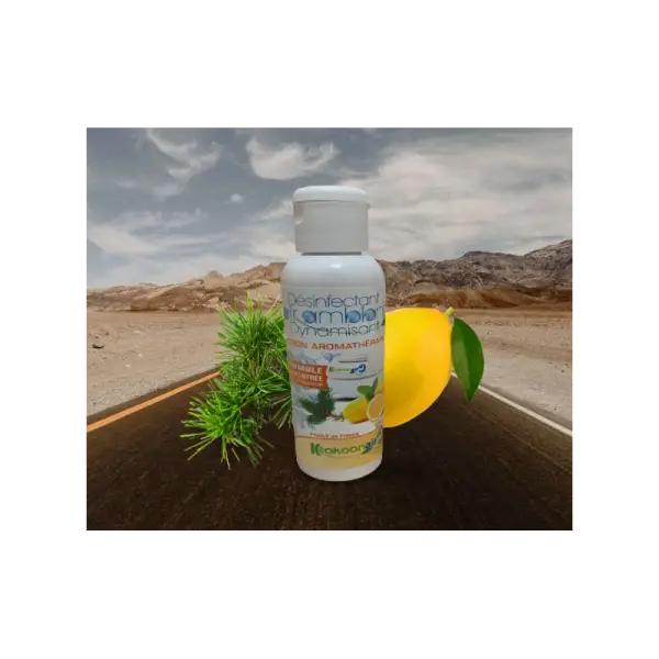 KIT COMPOSE D'UN PURIFICATEUR D'AIR PORTABLE ALIZE POUR VOITURE ET UN DESINFECTANT DYNAMISANT CONCENTRE 125ML