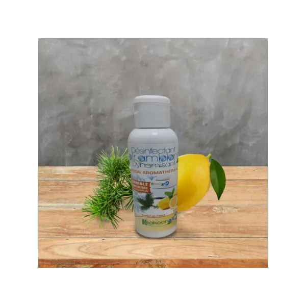 KIT COMPOSE D'UN PURIFICATEUR D'AIR PORTABLE ALIZE POUR VOITURE ET UN DESINFECTANT DYNAMISANT CONCENTRE 125ML